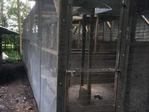 Lower Moss Wood Wildlife Protecting Injured Birds