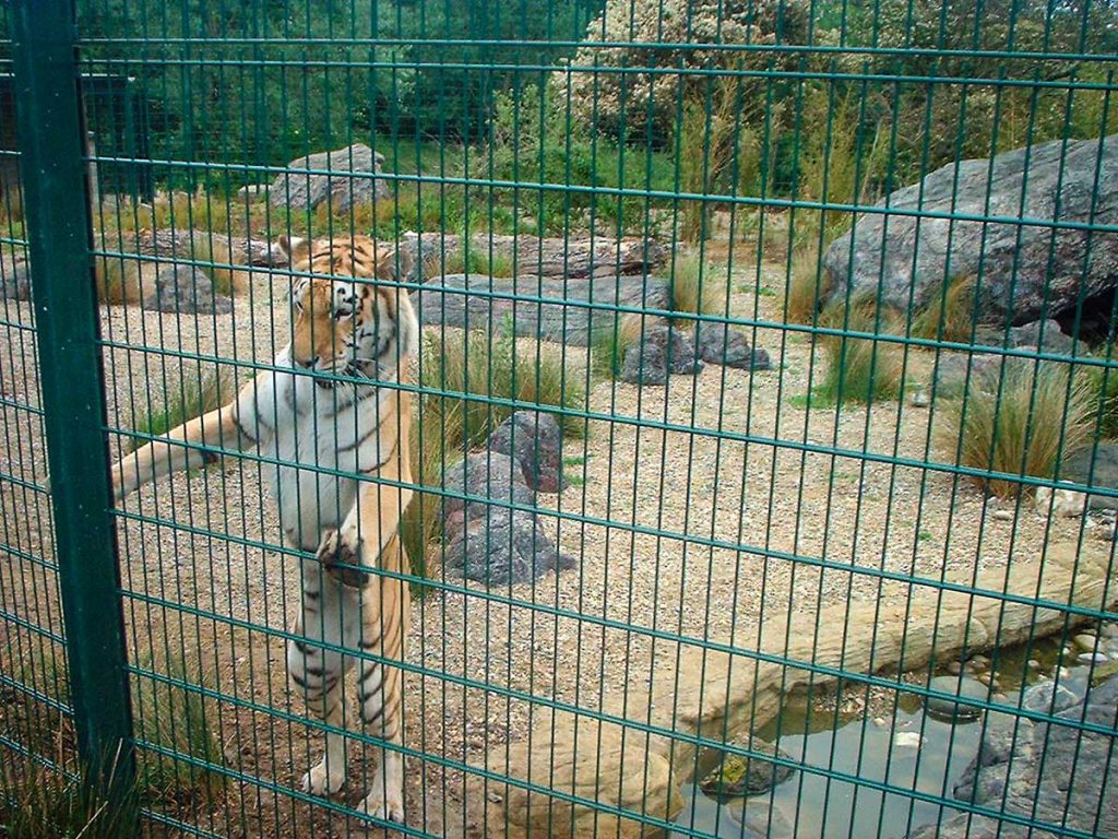 Security Fencing for Zoos